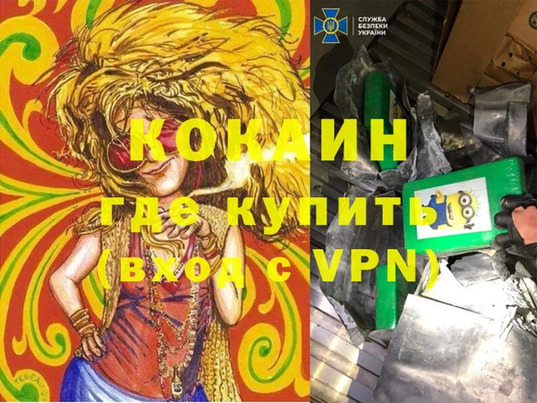 твердый Алексеевка