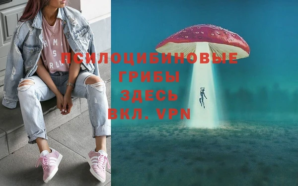 твердый Алексеевка