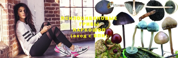 твердый Алексеевка