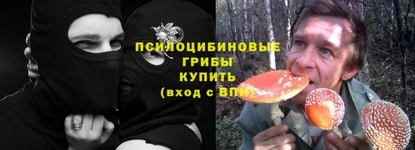 твердый Алексеевка