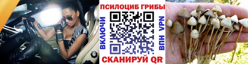 магазин  наркотиков  Приозерск  shop формула  Галлюциногенные грибы мухоморы 